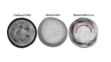 New method for detecting adulterants in milk