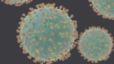 Coronavirus genomic surveillance mechanism intensified
