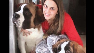 Shivika Diwan Is A Proud Momma Of Two Giant Saint Bernard Dogs