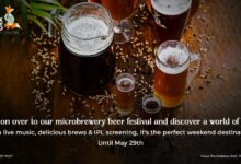 Best Microbrewery in Bangalore Fox in the Field Hosts Epic Beer Festival with Brewer Nathan Ross